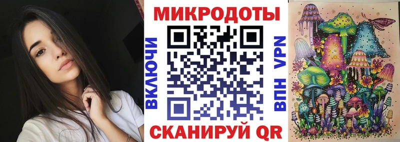 где можно купить   Калтан  Галлюциногенные грибы Psilocybine cubensis 